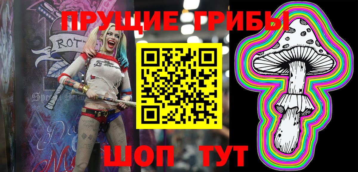 Каменск-Шахтинский  Галлюциногенные грибы Psilocybine cubensis  Вход с VPN 